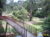 Mineral Springs Bridge, Blackwood