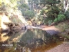 Swimming  Hole, Blackwood